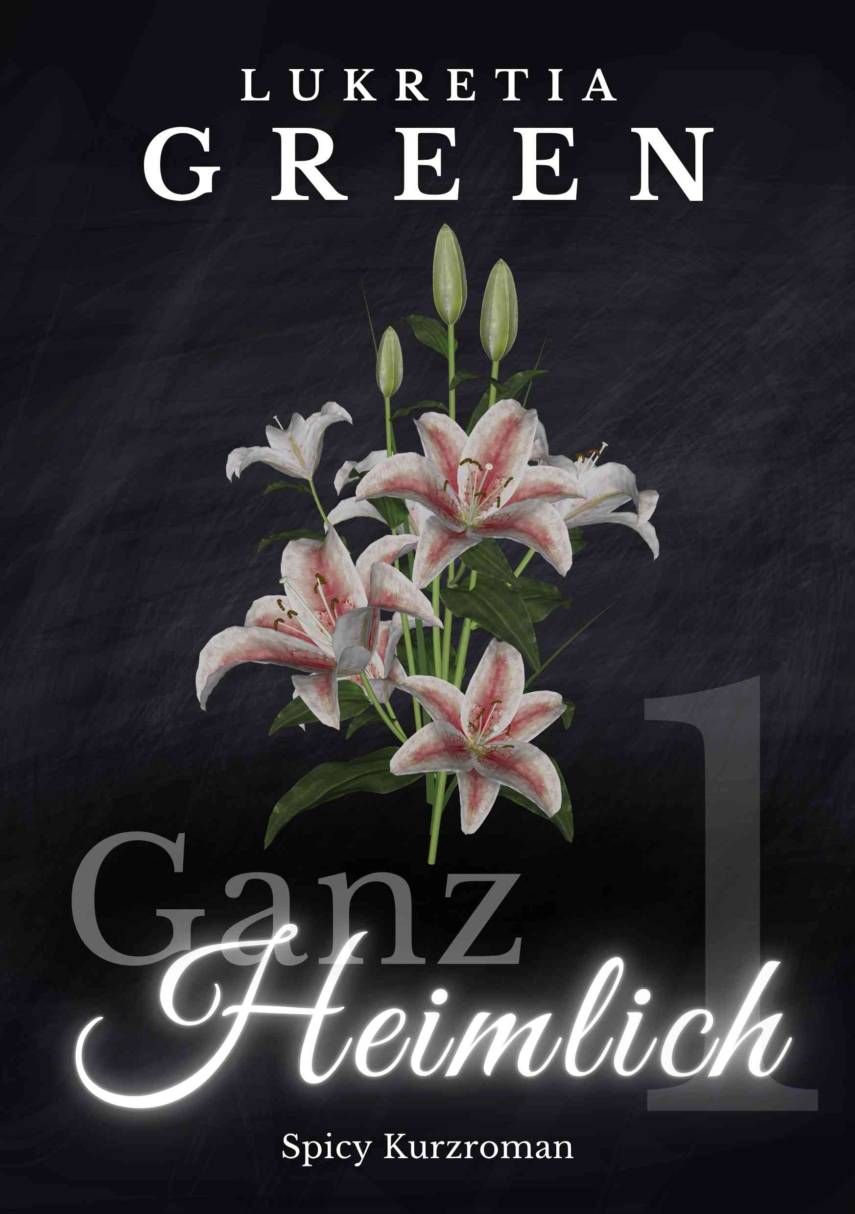 Eric und Lily Ganz Heimlich Band 1 der Age Gap Trilogie mit Suspense Vibes von Lukretia Green